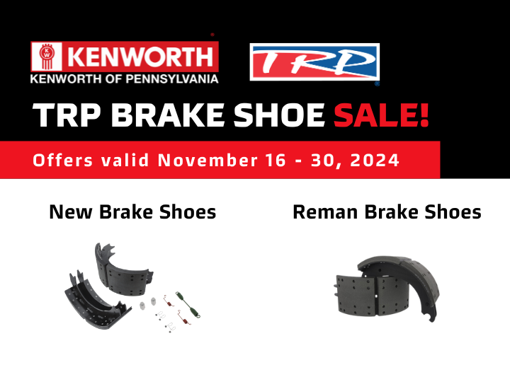 TRP Brake Shoe Sale