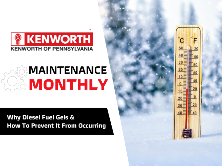 Maintenance Monthly_January 2025